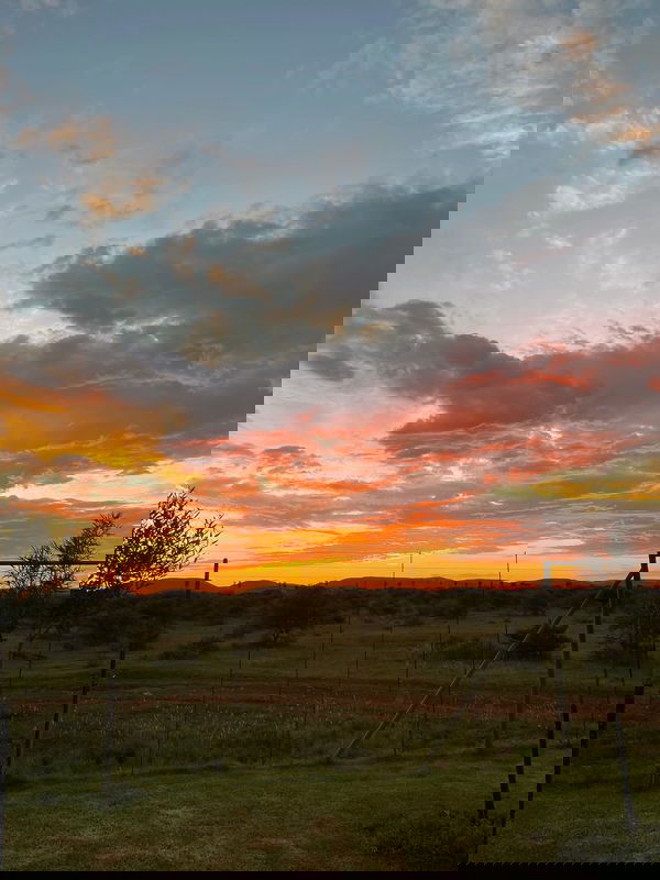 Slack, 19 years old from South Africa