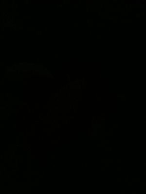 9inchesWhiteMonster's Profile Photo