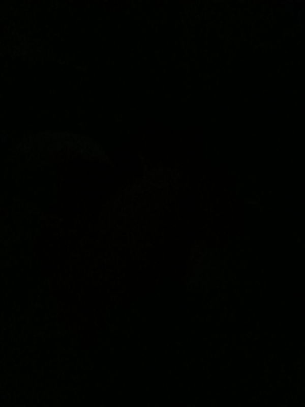 9inchesWhiteMonster, 21 years old from France