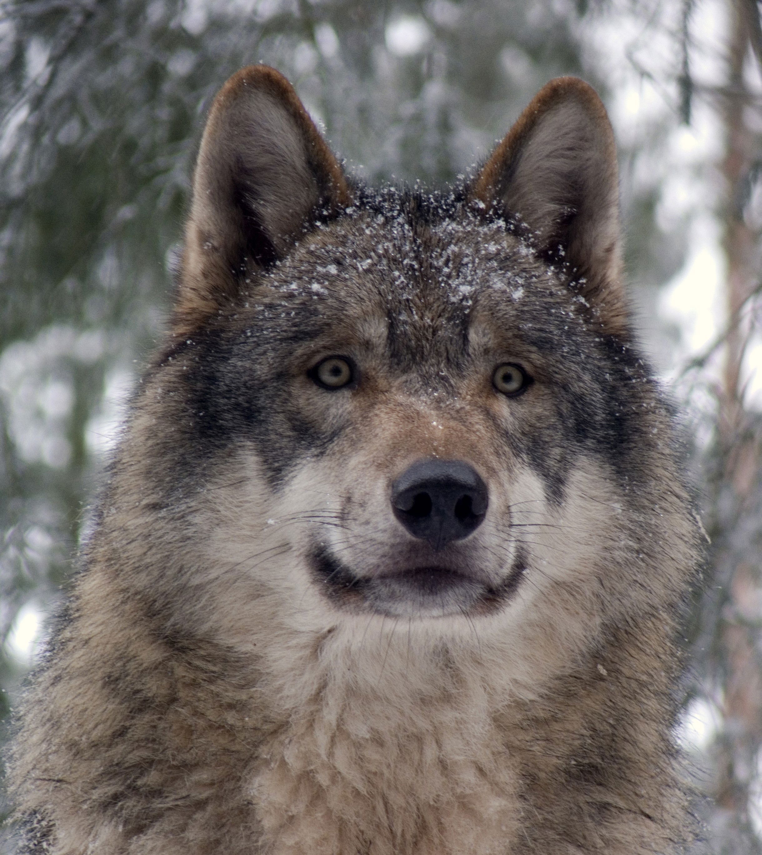 DeepTide's Cover Photo