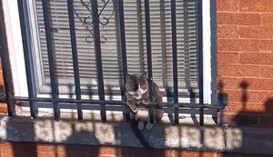 kaisotelo990's Profile Photo