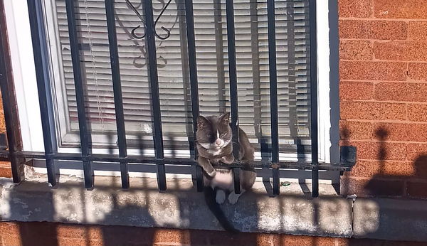 kaisotelo990, 19 years old from United States