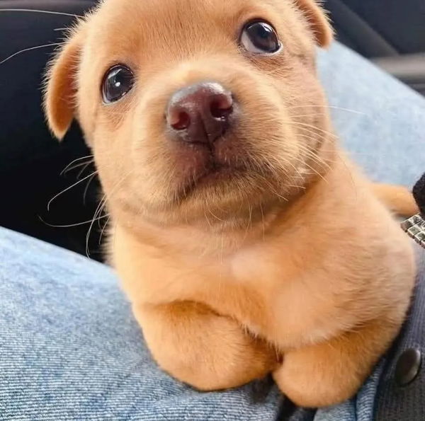 MrPj, 18 years old from Japan