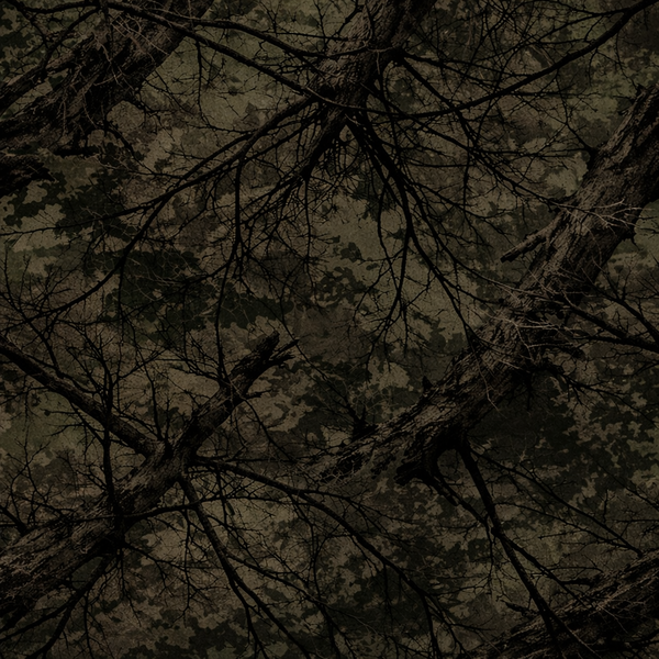 jimbob, 22 years old from United States