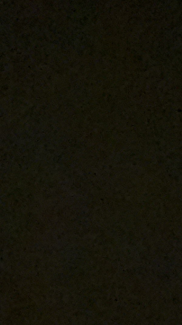 BigD, 18 years old from United States