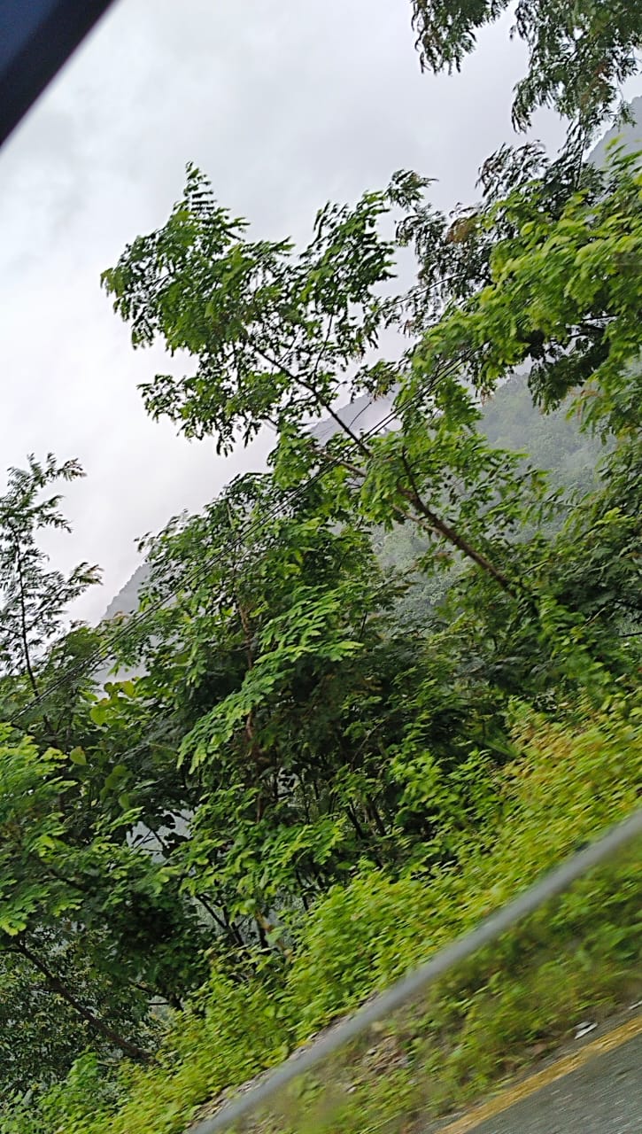 s72024037's Profile Photo