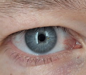 timo999's Profile Photo