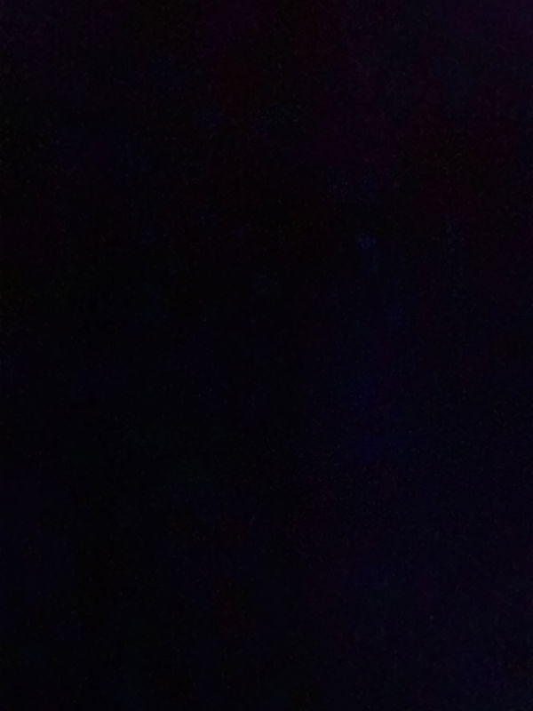 Baum-2008, 18 years old from Germany