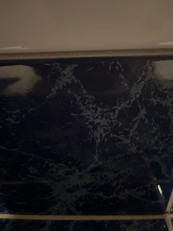 Petter89, 18 years old from Norway