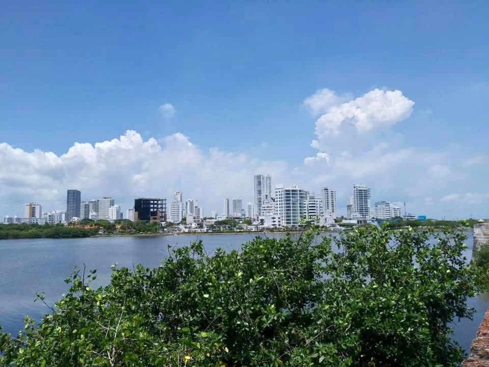 rosimontaylor's Cover Photo