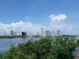 rosimontaylor's Profile Photo