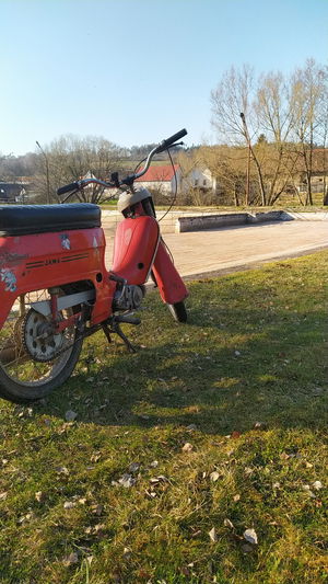 marek2dmme's Profile Photo