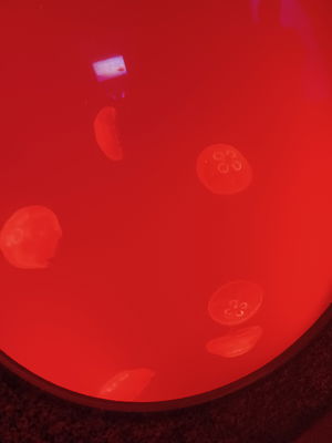 Bennym9157's Profile Photo