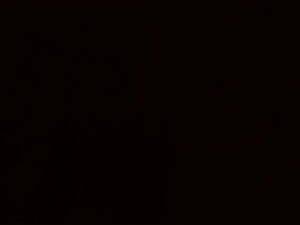 stc7712's Profile Photo