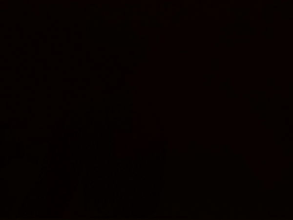 stc7712, 20 years old from United States