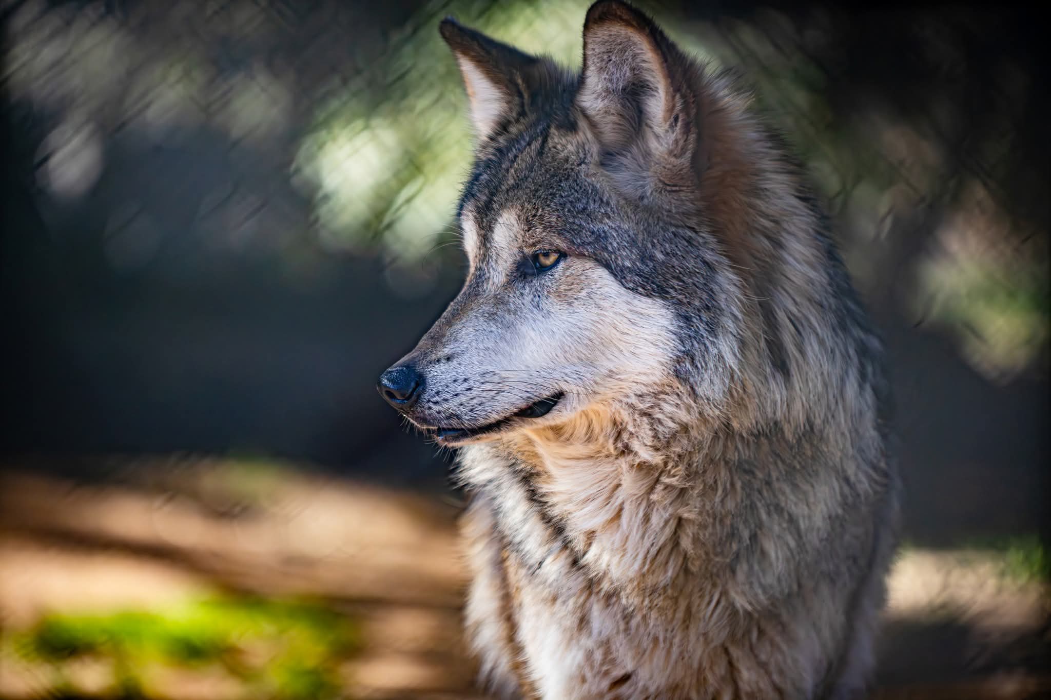 cowboyjerky123's Cover Photo