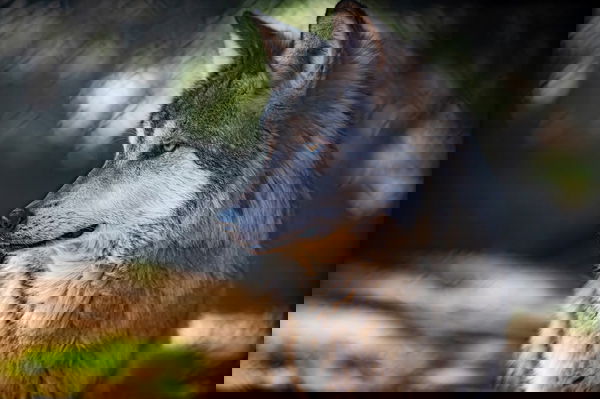 cowboyjerky123, 29 years old from United States