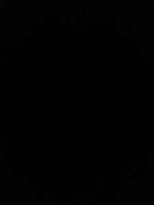 volvyb27's Profile Photo