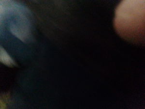 worshipussy's Profile Photo