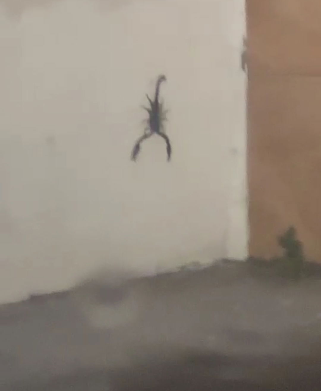 gmiejaZz's Cover Photo