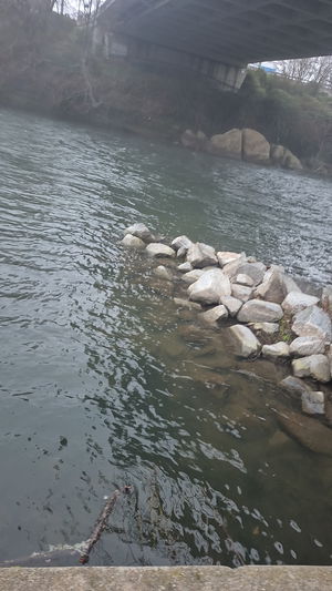 cvxjud's Profile Photo