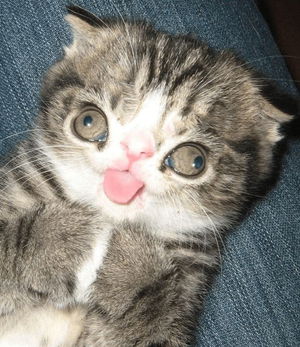 chilldude0011's Profile Photo