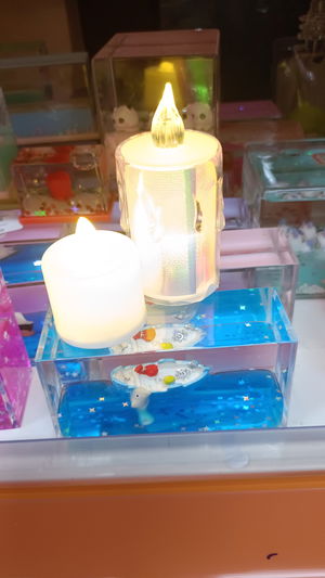 biwew37308's Profile Photo