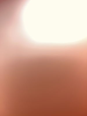 willsjax5's Profile Photo