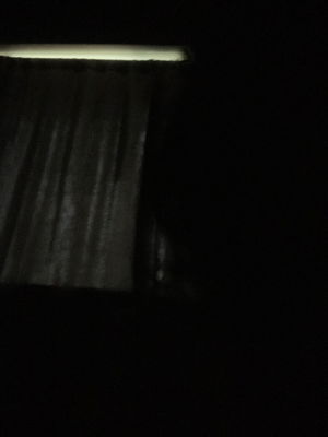 xae0's Profile Photo