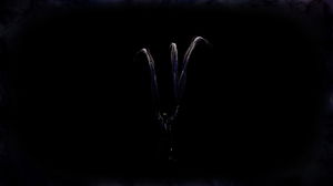 travonyblake_34's Profile Photo