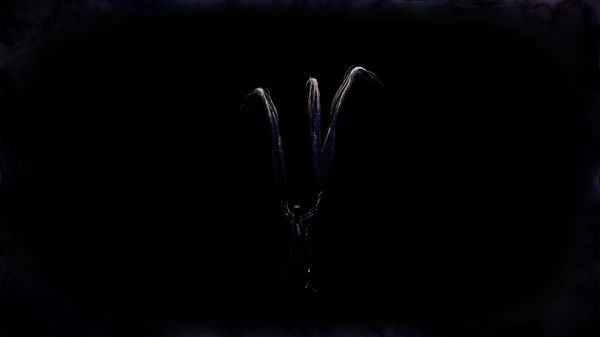 travonyblake_34, 18 years old from United States