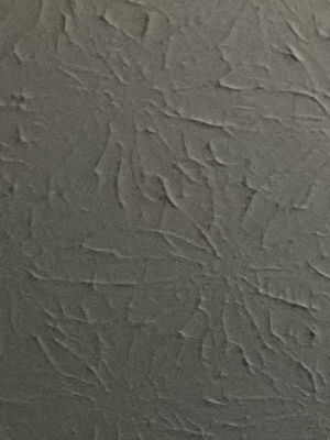 Heyy's Profile Photo