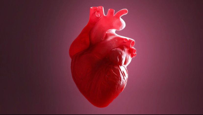 shoaibshoaibahmad87's Profile Photo