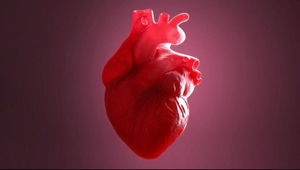 shoaibshoaibahmad87's Profile Photo