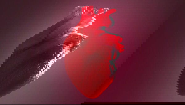 shoaibshoaibahmad87, 19 years old from Canada