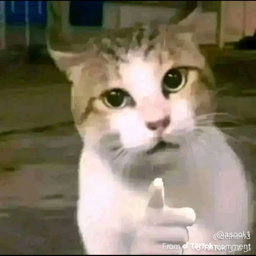 genocidalsfxm's Cover Photo