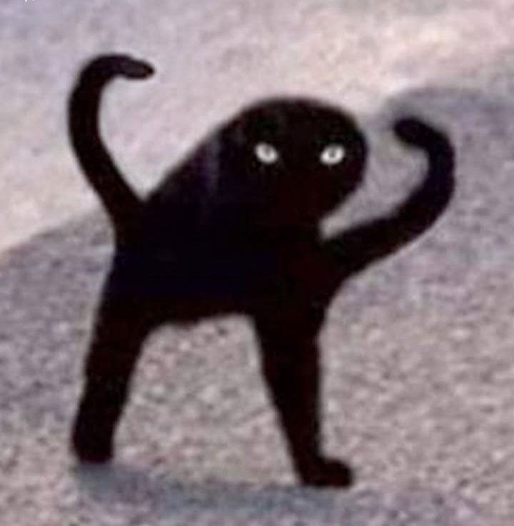 dill40055's Profile Photo