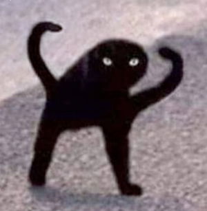 dill40055's Profile Photo