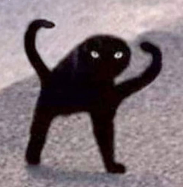 dill40055, 25 years old from United States