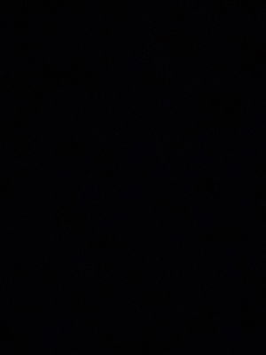 giooles619's Profile Photo