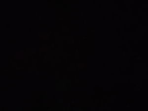 catherina33rst's Profile Photo