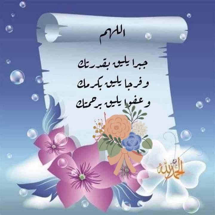 addgsg544's Cover Photo