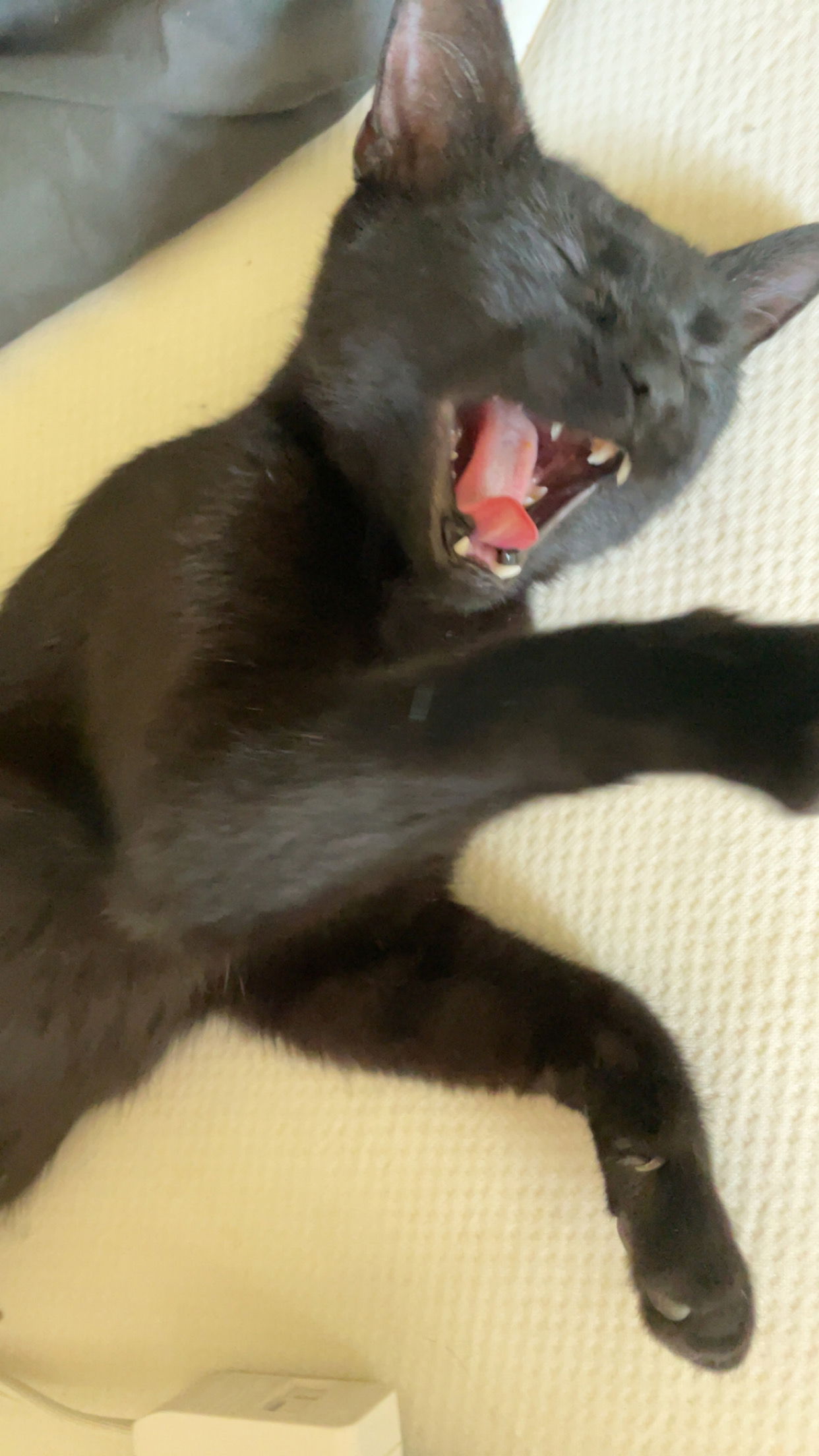 clixxu7788's Cover Photo