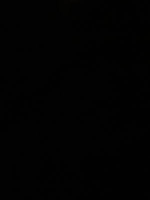 csvgedc's Profile Photo