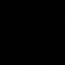 shabbyman521's Profile Photo