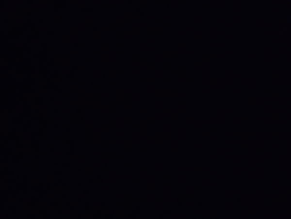 lee8697, 29 years old from United States