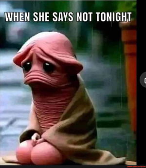 tetra366's Profile Photo