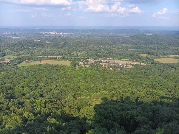 davidamonick7, 18 years old from United States