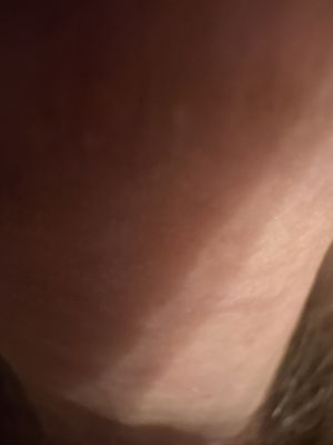 IhaveABigTip's Profile Photo