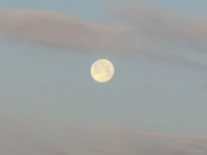 Chris_Bernasconi's Profile Photo